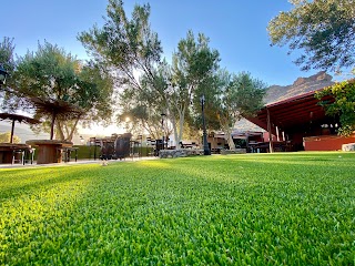 Finca Alemán Lemes