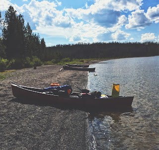 Moose Creek Outlet