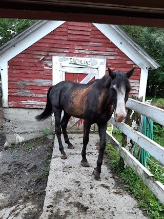 Southmowing Stables