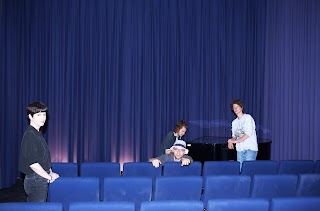 Kino im Blauen Salon