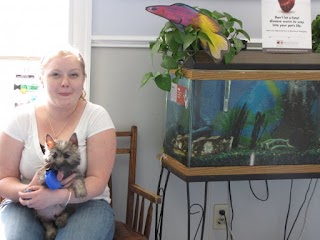 VCA Windham Animal Hospital