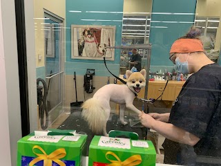 Petco Grooming