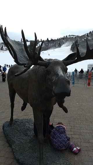 The Moose at Snowbasin