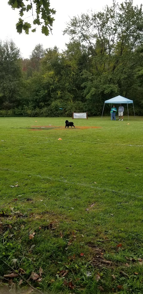 Canine Sports Center