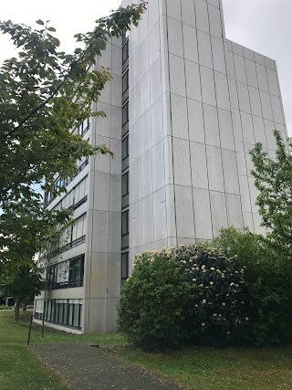 BG Klinik Ludwigshafen Notaufnahme