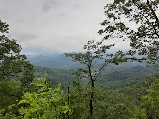 Bartram Trail: Wallace Branch to William's Pulpit