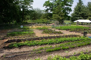 Washington Youth Garden