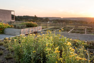 Les Jardins Sauvages