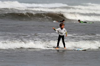 École de Surf de Bretagne , Twentynine surf&co