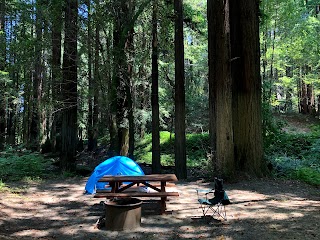 Dimmick Memorial Grove State Park