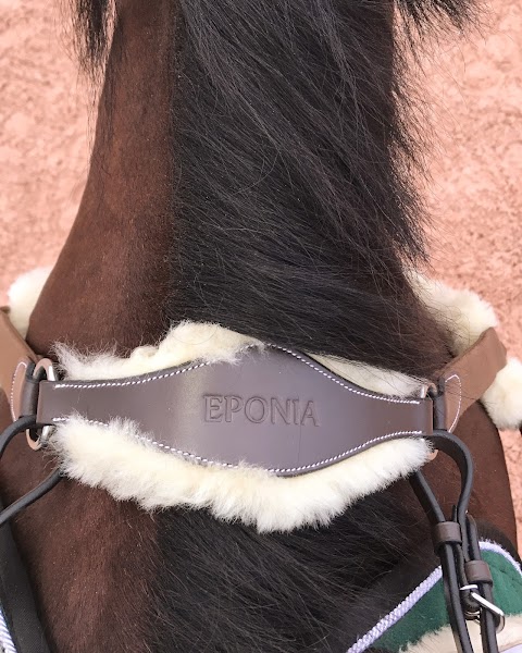 Eponia Equestrian Sport