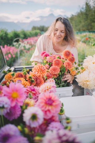 All Dahlia'd Up Flower Farm