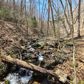 Woodfin Cascades Falls