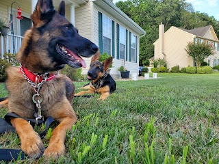 Dover AFB Veterinary Treatment Facility