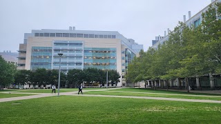 Koch Institute For Integrative Cancer Research at MIT