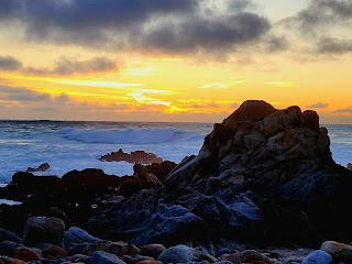 The Great Tide Pool