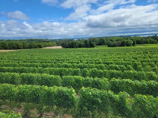 Traverse City Wine & Beer Tours