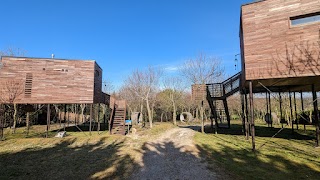 Cabañas en el árbol - Costa da morte