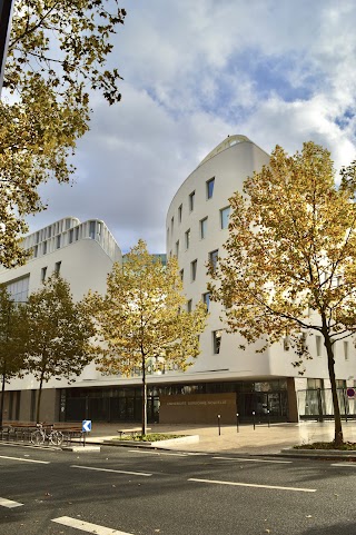 Université Sorbonne Nouvelle