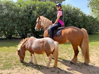 Excursiones y rutas a caballo Comarquinal