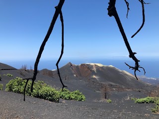 RhBuggy - Canary Live Experience. Excursiones en La Palma - Canarias