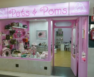 Pets & Poms/Pomeranian Beauty