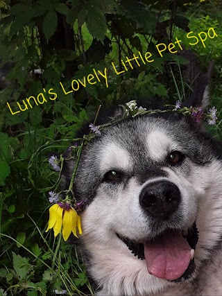 Luna's Lovely Little Pet Spa