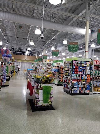 Publix Super Market at Normandy Crossing