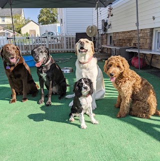 Bark & Learn - Best Dog Training & Sitting in Rye Brook, NY