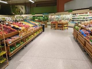 Publix Super Market at Hamilton Place