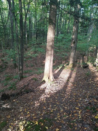 Nicolet College Exercise Trail