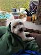 Photo of Nohl Ranch Pool Supply - 2721 North Orange Olive Road, Orange, CA 92865, USA