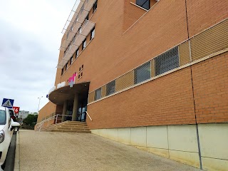 Hospital Clínico Veterinario - Universidad de Murcia