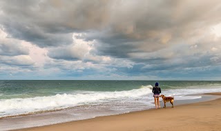 Southern Delaware Tourism