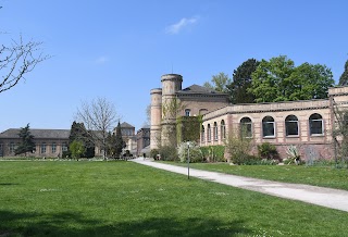 Botanischer Garten Karlsruhe