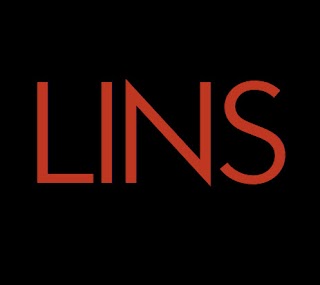 Lins Castellón Consulting