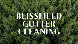 Blissfield Gutter Cleaning