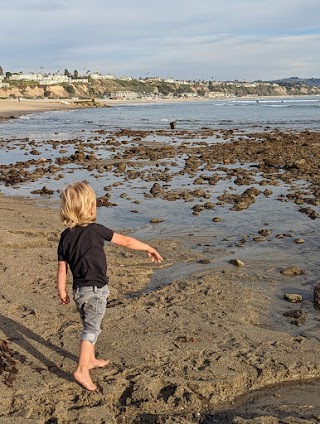 Tide Pool and Aquarium