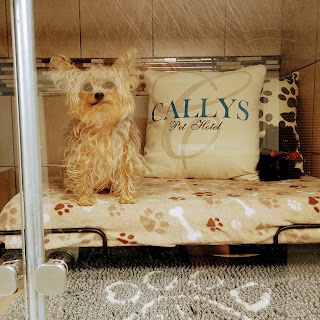 Callys Pet Grooming & Hotel