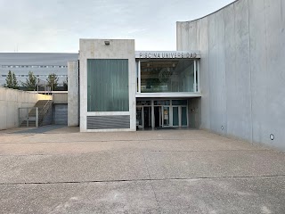 Piscina Universitaria Murcia