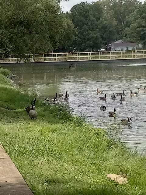 Walker Park Pool