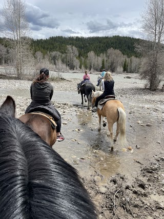 Swift Creek Outfitters - Teton Horseback Adventures