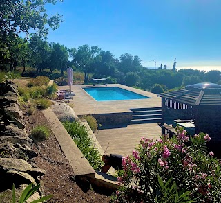 WELLNESS POOL piscine en corse