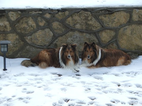 Photo of The Dog Wash - 310 Illinois Avenue, Saint Joseph, MO 64504, USA