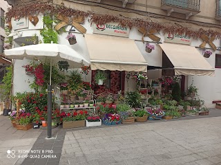 Decojardin Floristas