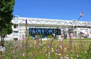 Université de Bourgogne