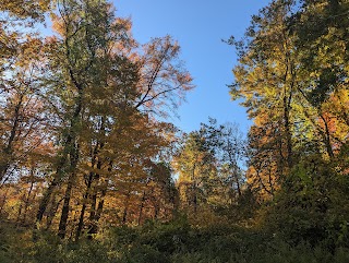 Lillinnoah Woods Open Space