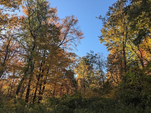 Lillinnoah Woods Open Space