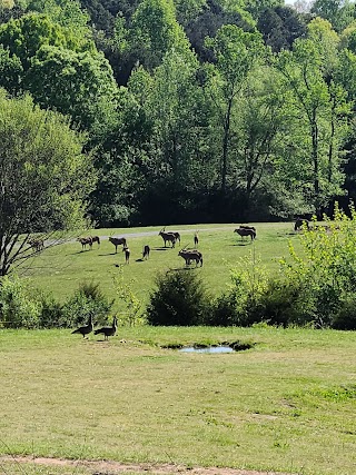 North Carolina Zoo