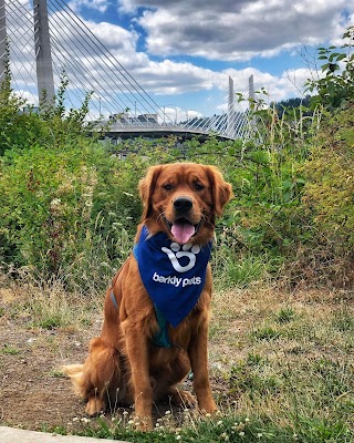 Barkly Pets Portland Dog Walkers